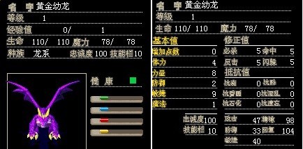 1级幼龙/3X