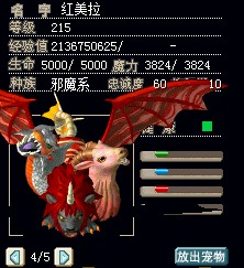100命100R齐美拉