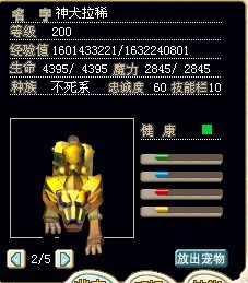 加敏金狗15X