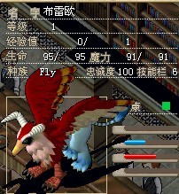 鸟.jpg
