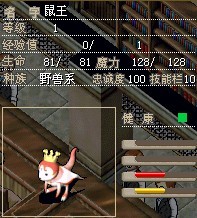 老鼠.jpg