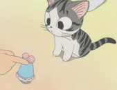 未命名.gif