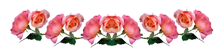 连环花边.gif
