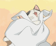 未命名.gif
