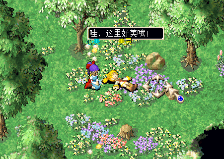 12.bmp