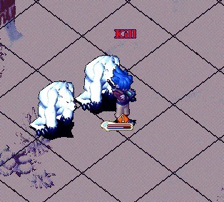 006.jpg