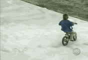 19.gif
