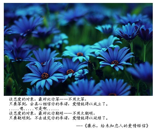 ʮһδ֪˵İ