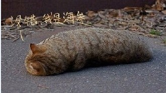 未命名.jpg