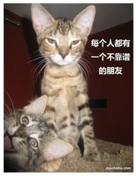 2本.jpg
