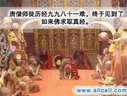哈.gif