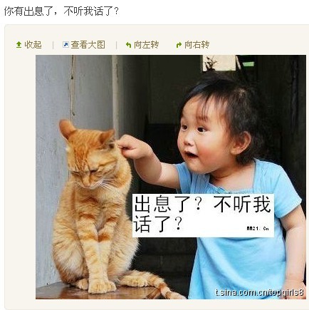 猫咪6.jpg