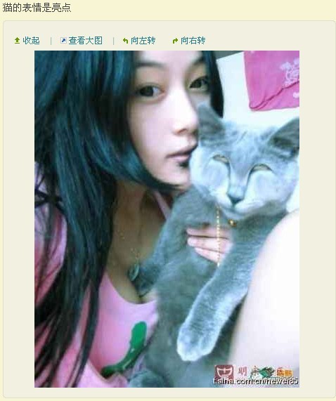 猫咪5.jpg