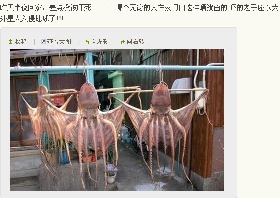 晒鱿鱼.jpg