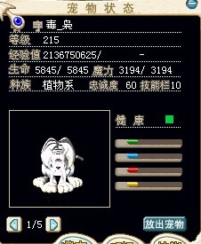老虎.jpg