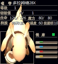 糖糖.jpg