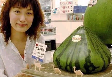 西瓜11111111111111.jpg