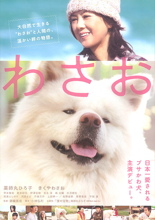 秋田犬蓬夫3.jpg