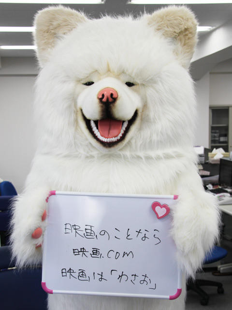 秋田犬蓬夫2.jpg