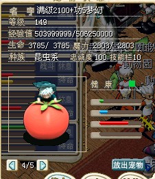 番茄图.jpg