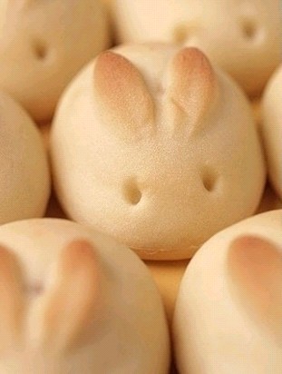 兔子宝宝.jpg