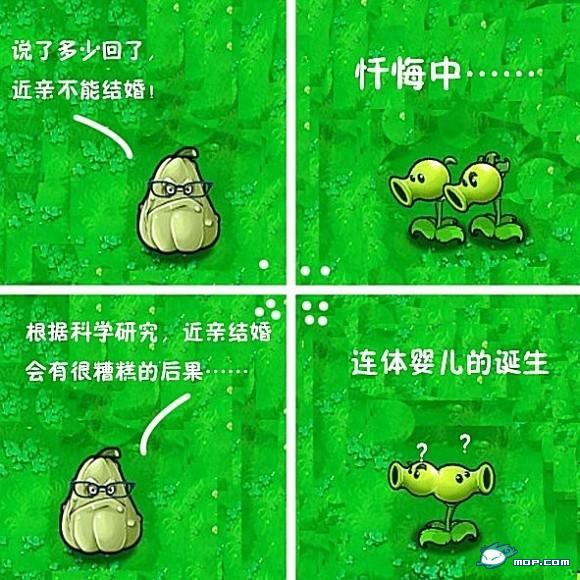 个就.jpg