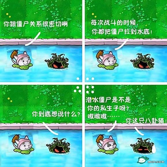 国家.jpg