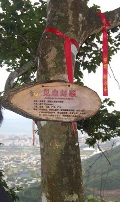 未命名33.jpg