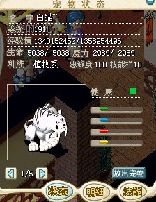 白猫.jpg