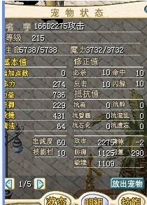 166D红爆