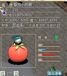 番茄靓照