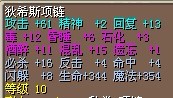 项链2.jpg