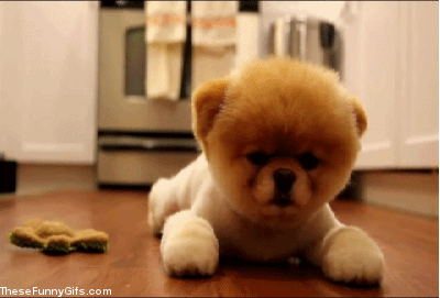 未命名.gif