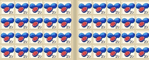敏叶子.jpg