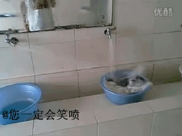 微博桌面_1737864341l.gif