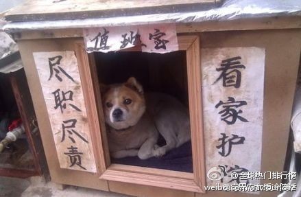 微博桌面_1330423784l.jpg