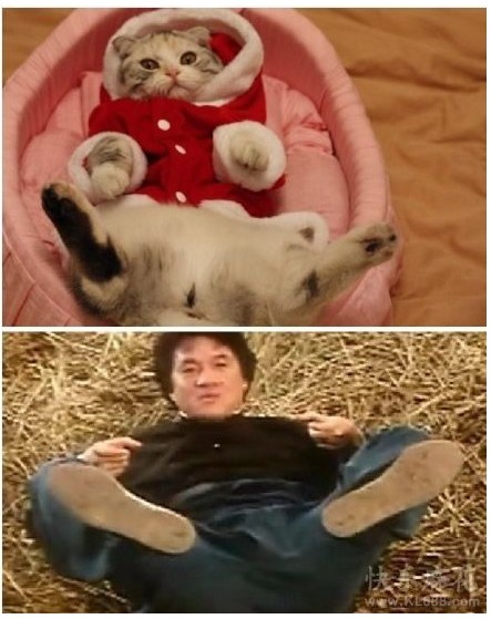 QQͼδ.jpg