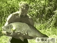 好大的鱼！啊！抓住！抓住！