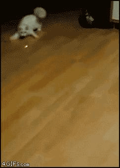 喵星人！你就这点乐趣了啊！