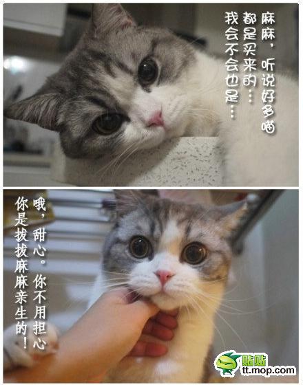 麻麻1.jpg