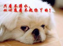 u=4136637628,560790669&amp;fm=52&amp;gp=0.jpg