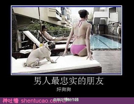 68377b29jw1dvil71u31qj.jpg
