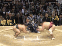 凶残.gif