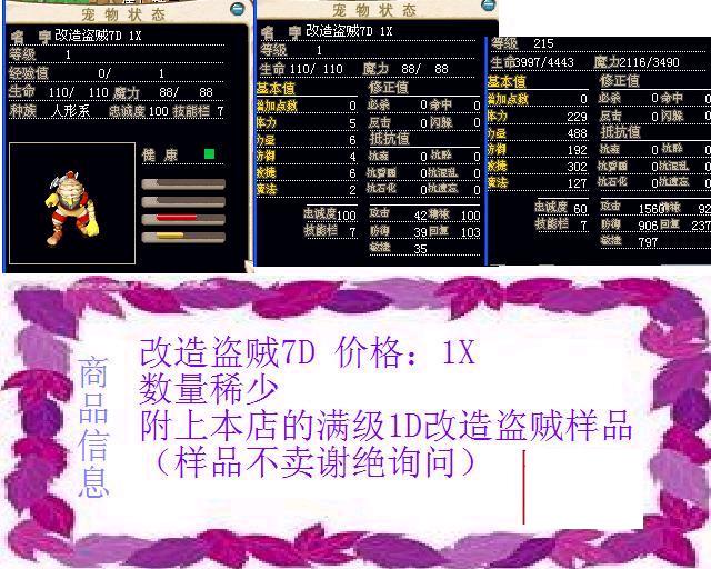 改造盗贼