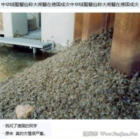 201209130046404653.jpg