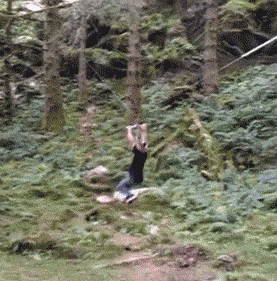 2557861_9.gif