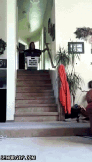 2557861_19.gif