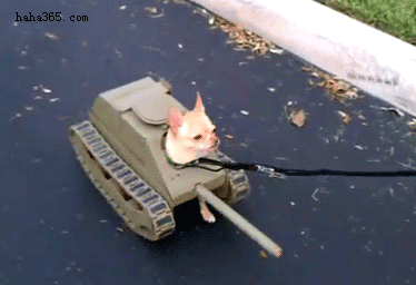 mxcp753F991892E2F3E78B95E4B1F445A759_374_256.GIF
