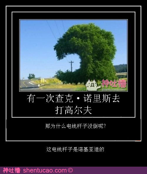 17.bmp