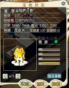 金虎1.jpg